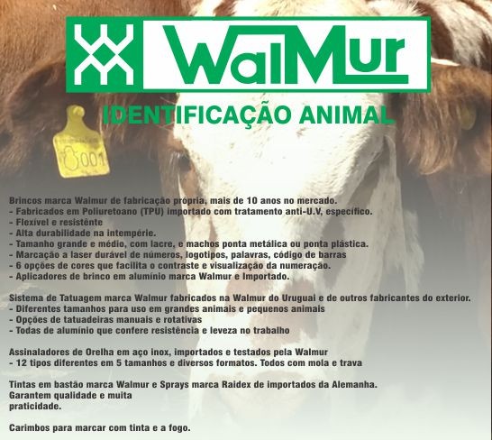 Identificação Animal